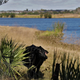 These are the kinds of ecosystems at risk with this proposed revision.